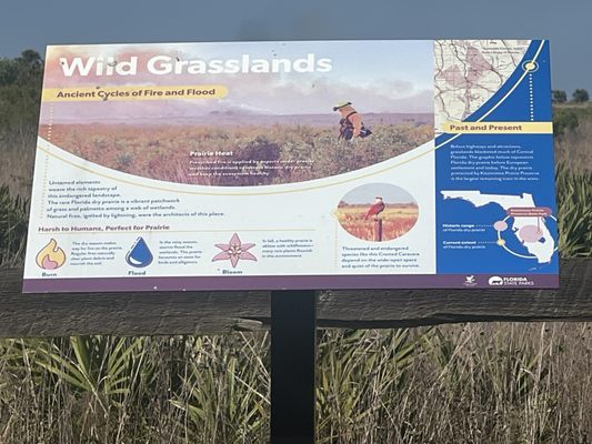 Kissimmee Prairie Preserve State Park by null