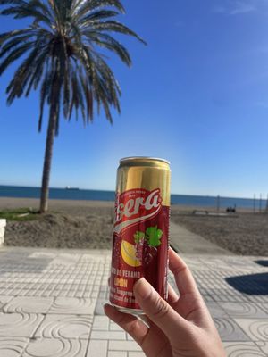 Playa la Malagueta by null