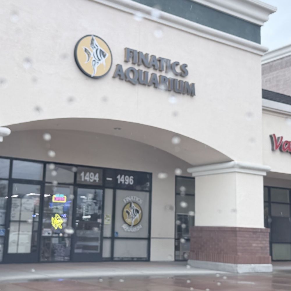 Store front