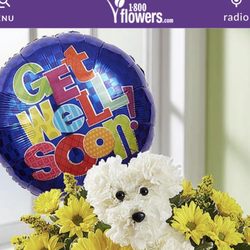Flower Garden Wholesale & Retail - What I ordered