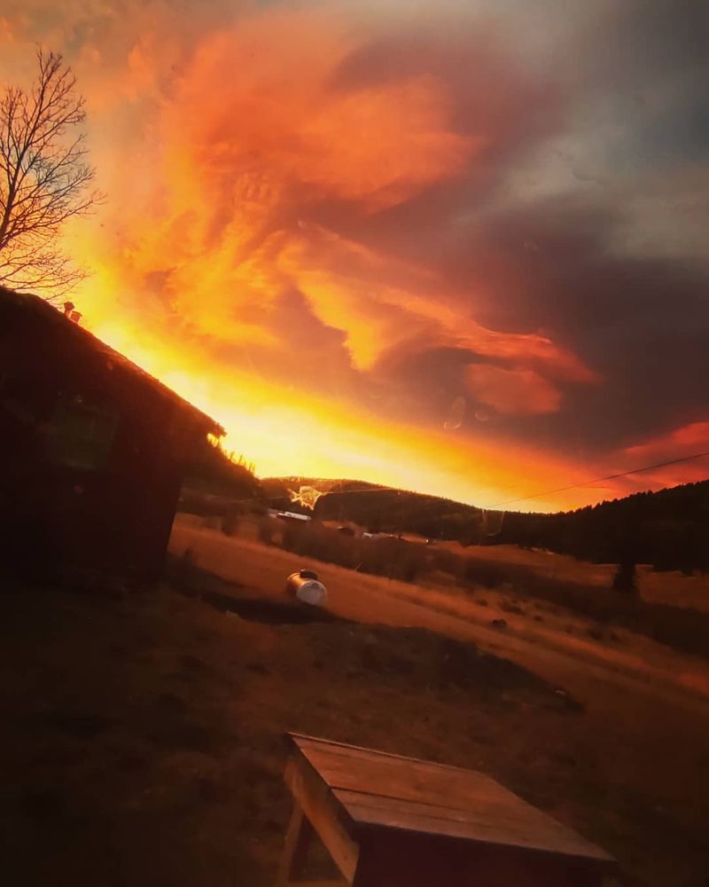 EL LODGE TAOS Request Information 33 Photos 4536 St Hwy 518