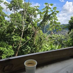 FinCafé Coffee Shop