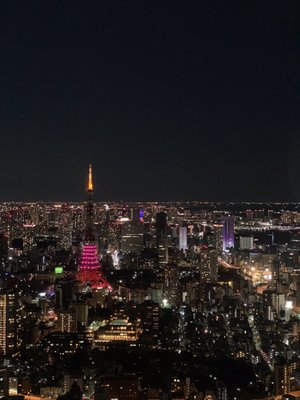 Roppongi Hills Mori Tower by null
