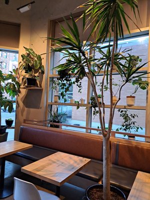 Pono Ono Poke by null