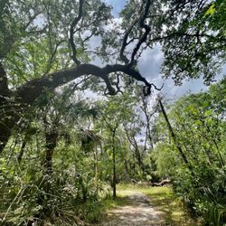 Alafia River Corridor Nature Preserve North
