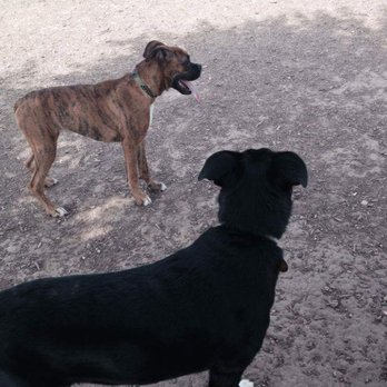 Norman Community Dog Park - Dog Parks Near Me - Norman, Oklahoma Norman Community Dog Park - Dog Parks Near Me - Norman, Oklahoma