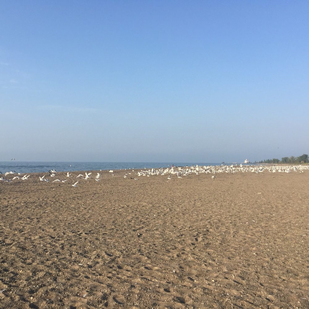Headlands Beach State Park - Lakes Near Me - Mentor, Ohio Headlands Beach State Park - Lakes Near Me - Mentor, Ohio