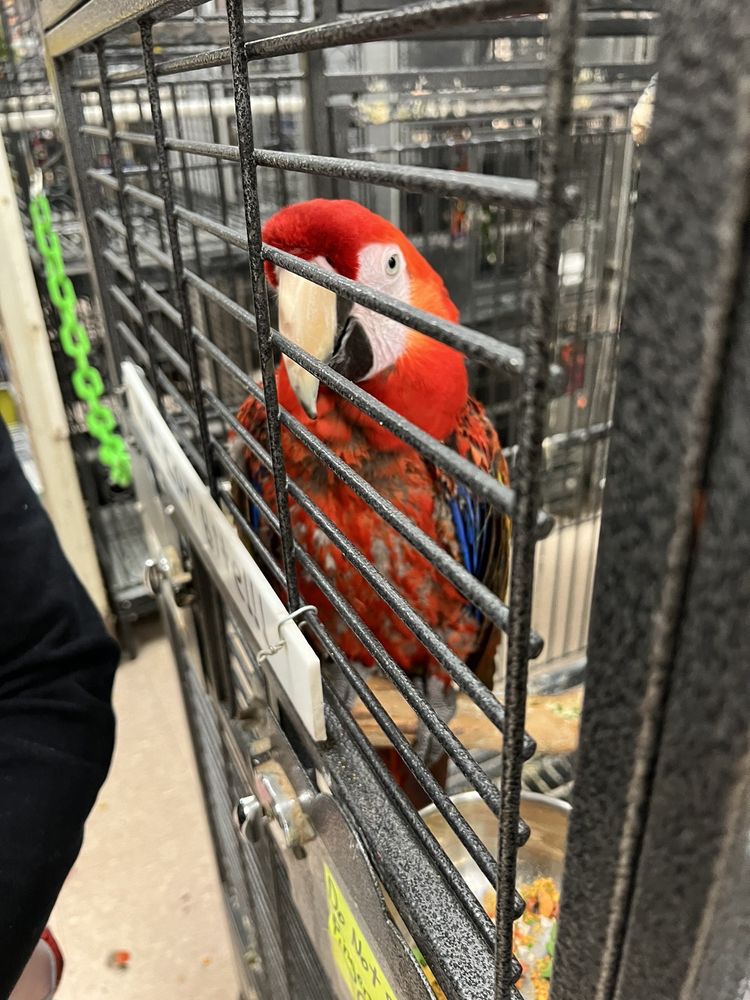 BIRD JUNGLE Updated October 2024 45 Photos & 40 Reviews 365