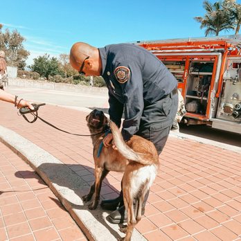 Kyber K9 Services - Pet Training Near Me Kyber K9 Services - Pet Training Near Me