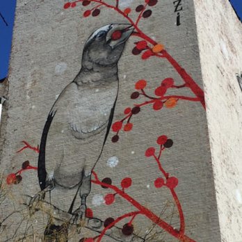 Audubon Mural Project - Art Installation Near Me - New York, New York