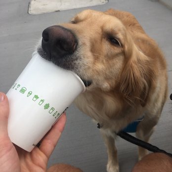 Shake Shack Pinecrest - Burgers Near Me - Orange Village, Ohio Shake Shack Pinecrest - Burgers Near Me - Orange Village, Ohio