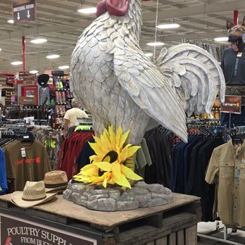 Buchheit - Biggest chicken I've ever seen! - Building Supplies Near Me - Greenville, Illinois Buchheit - Biggest chicken I've ever seen! - Building Supplies Near Me - Greenville, Illinois