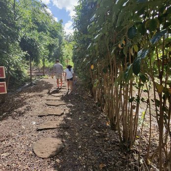 Kamananui Cacao Orchards - Attraction Farms Near Me - Waialua, Hawaii Kamananui Cacao Orchards - Attraction Farms Near Me - Waialua, Hawaii