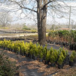 Wind In The Willows Nursery