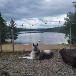 Cedar Pond Campground