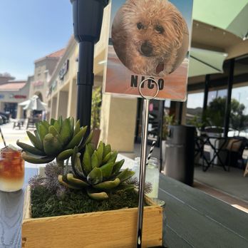Caffe Mercato - Table number - Cafes Near Me - Menifee, California