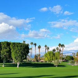 Sandy Mann Salkind Real Estate Broker - Real Estate Views