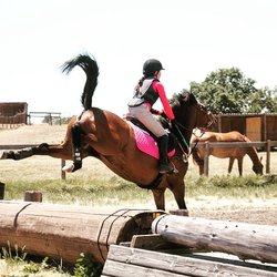 Woodland Stallion Station