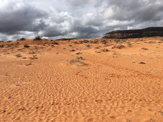 Coral Pink Sand Dunes State Park by null