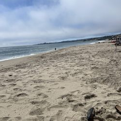 Shoreline