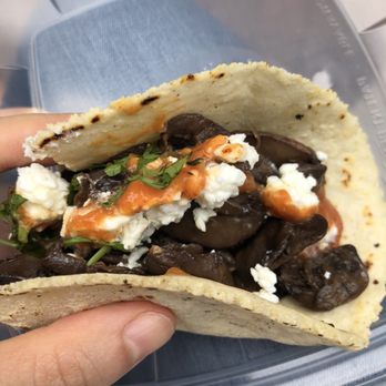 Chaia - Mushroom taco. Looks better than it tastes - Tacos Near Me - Washington, DC, District of Columbia Chaia - Mushroom taco. Looks better than it tastes - Tacos Near Me - Washington, DC, District of Columbia