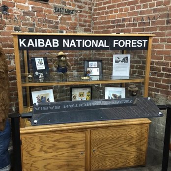 Williams Kaibab National Forest - Public Services & Government Near Me - Williams, Arizona Williams Kaibab National Forest - Public Services & Government Near Me - Williams, Arizona