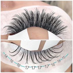Live, Love, Lash - Eyelash Extension Training