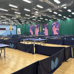 Triangle Badminton and Table Tennis - Table tennis tables in abundance