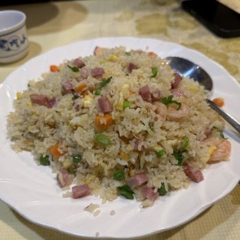 Shaanxi Gourmet - yeung chow fried rice. big plate - Chinese Near Me - Natick, Massachusetts
