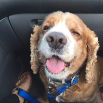 Bark 'N Bathe - Pet Groomers Near Me - Whittier, California