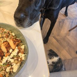 quinoa salad with roasted chicken