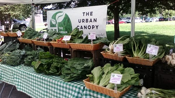 Local Food Cycle - Differemt weekly shares. Local Food Cycle - Differemt weekly shares.