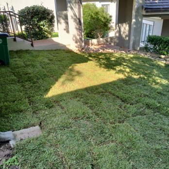 Serendipity Landscape Solutions - Pressure Washers Near Me