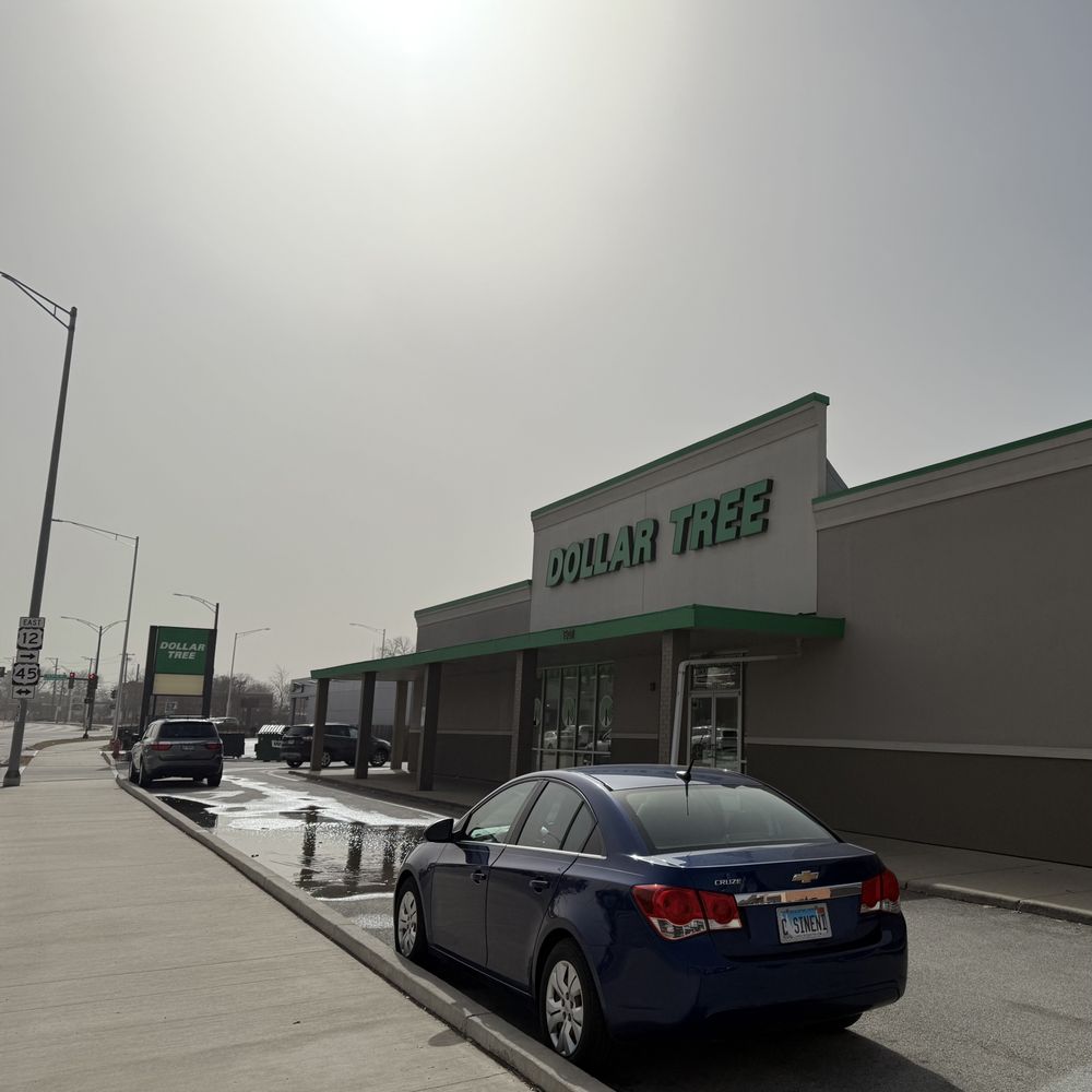 Dollar Tree - Storefront - Discount Store Near Me - Des Plaines, Illinois