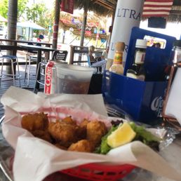 Fish bites