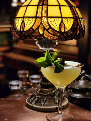 The Blind Rabbit by null