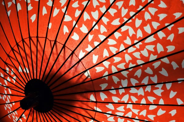 Pontocho Alley by null