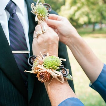 Town & Country Gardens - Succulent corsages and boutineers - Florists Near Me - Elgin, Illinois Town & Country Gardens - Succulent corsages and boutineers - Florists Near Me - Elgin, Illinois