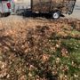 Luis Lawn Service