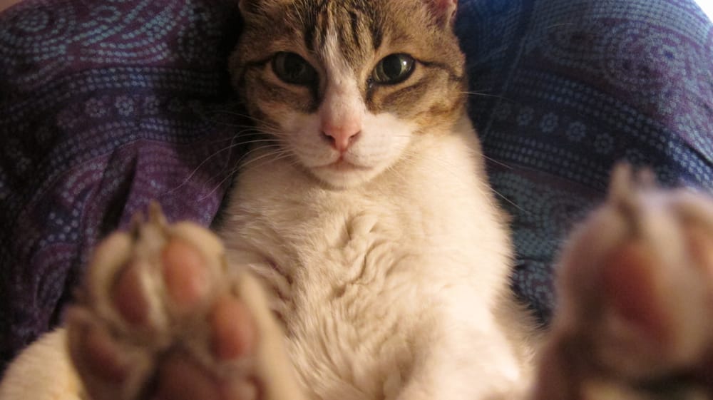 THE HOUSE HOLDERS SF Updated October 2024 12 Reviews 268 Bush St