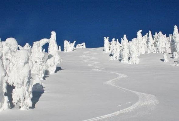Mount Washington Alpine Resort by null