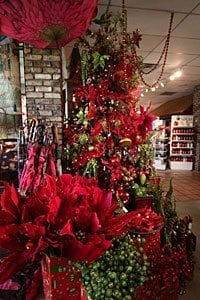 The Potpourri House by null