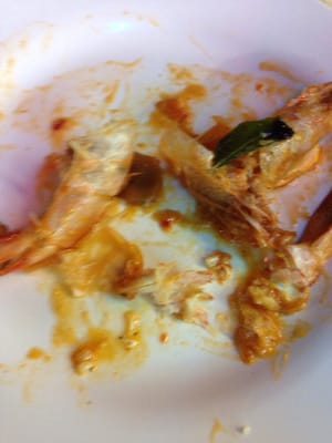 The Countryside Café by null