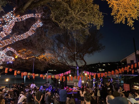 Mozart's Coffee Roasters by null Mozart's Coffee Roasters by null