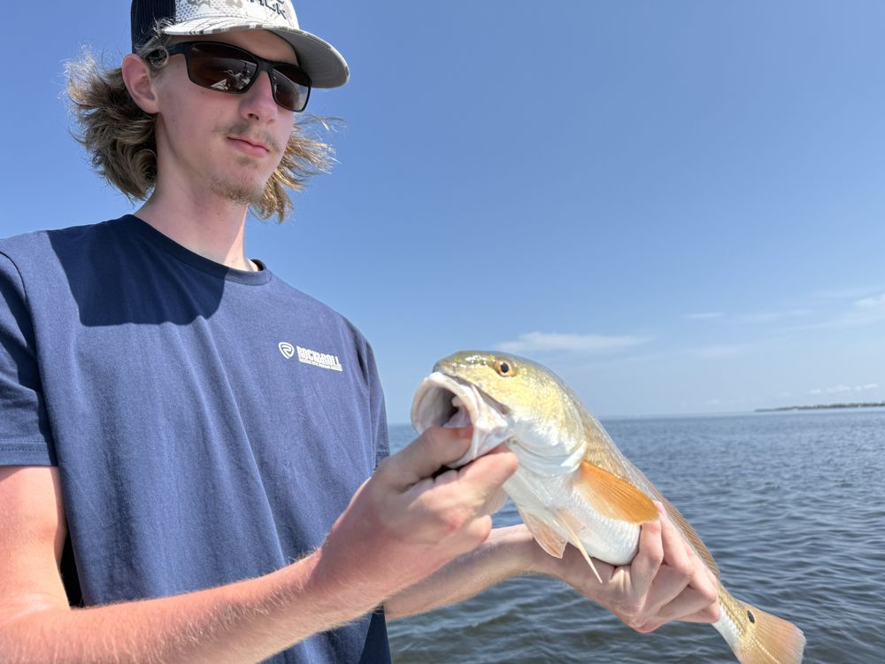Tampa Bay Fishing Charters Logo