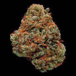 420 Caregiver Sherman Oaks Dispensary