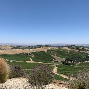 DAOU Vineyards - Wineries Near Me - Paso Robles, California