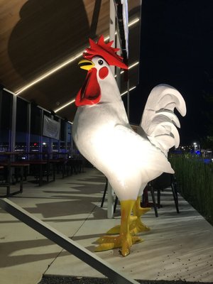 Chicken Foot by null