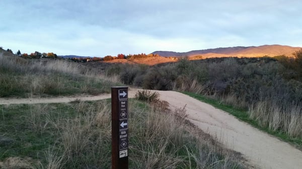 Camel’s Back Park by null