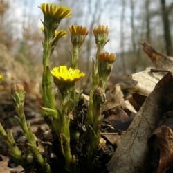 Ville, 3-Seenplatte - Für mich heißt das: der Frühling ist nah!